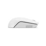 MOUSE LENOVO 300 COMPACTO GRIS CLARO (INALAMBRICOUSB)+
